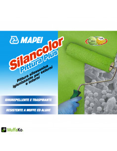 Mapei Silancolor Pittura Plus ilossanica igienizzante per esterni e interni 2