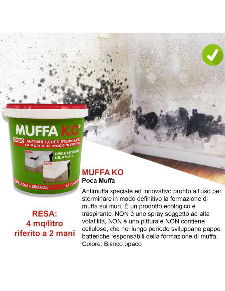 Kit Poca Muffa: Muffa Ko lt.1 + Kalorfix lt.1 + TermicaMix lt.1 + MasterPaint lt.1