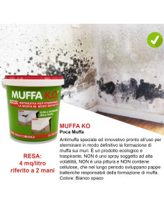 Kit Poca Muffa: Muffa Ko Kalorfix TermicaMix MasterPaint lt.1
